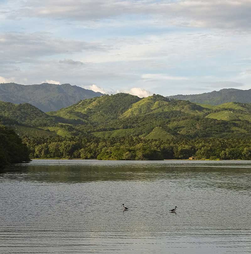 Turtle Sanctuary