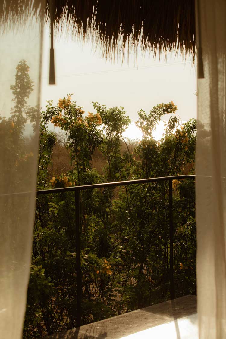 Casa Musa Basecamp Treehouse view