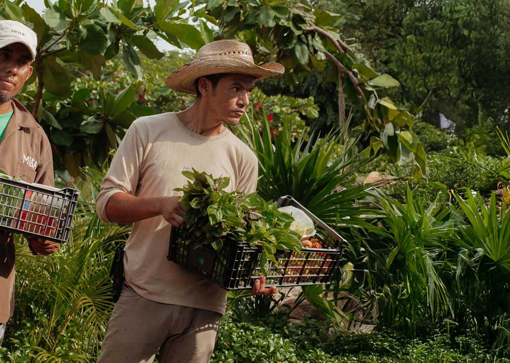 Organic Farm & Marketplace